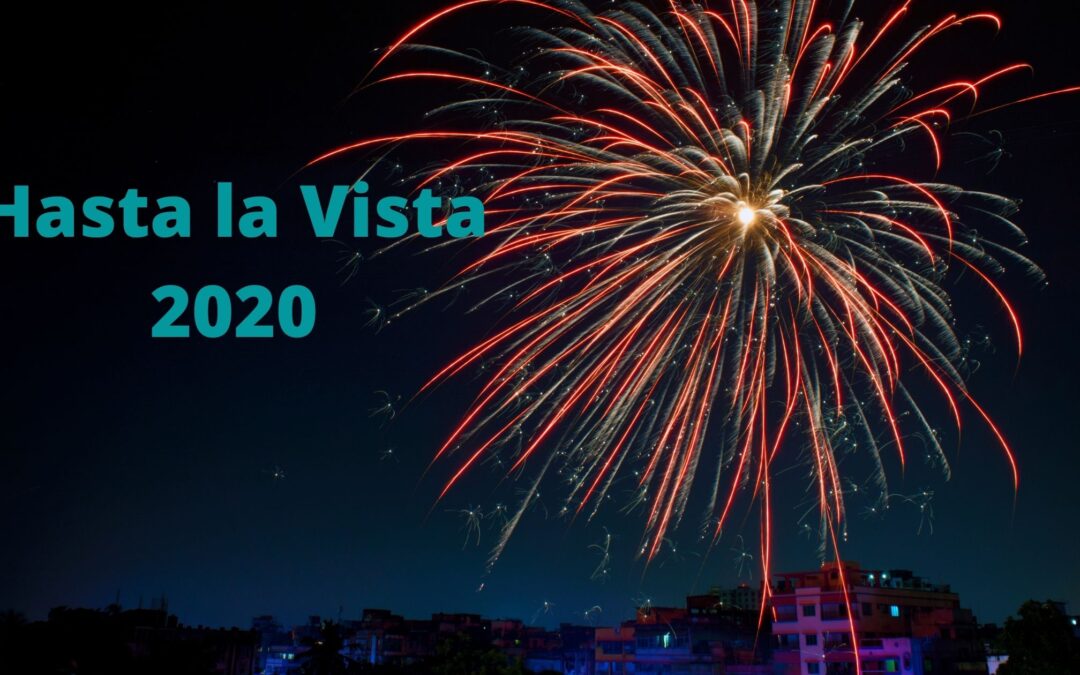 Hasta La Vista 2020