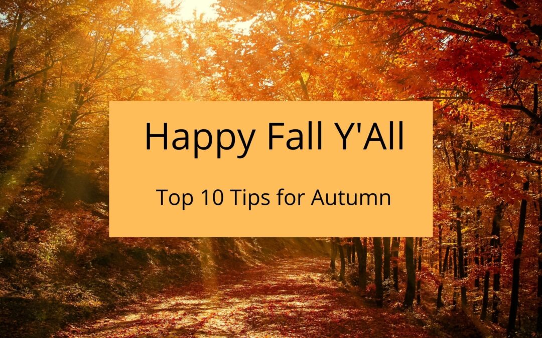Happy Fall y'all: The top 10 tips for fall